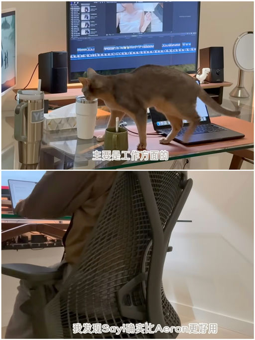 【75折】喵总亲测更好用