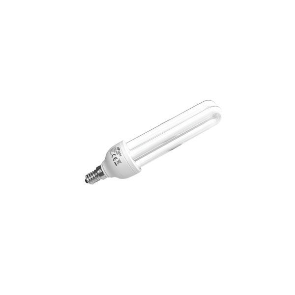 Insettivor Fluo - 1