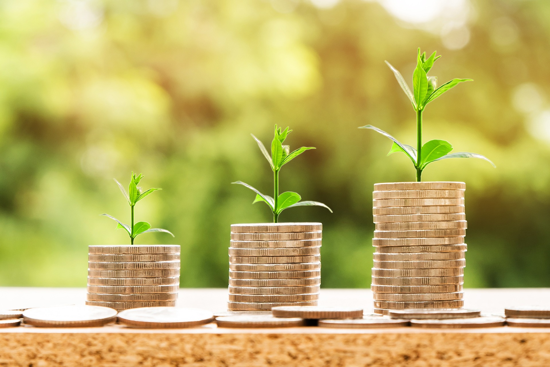 Financial Mastery for Scaling: Budgeting, Funding, and Investing for Growth