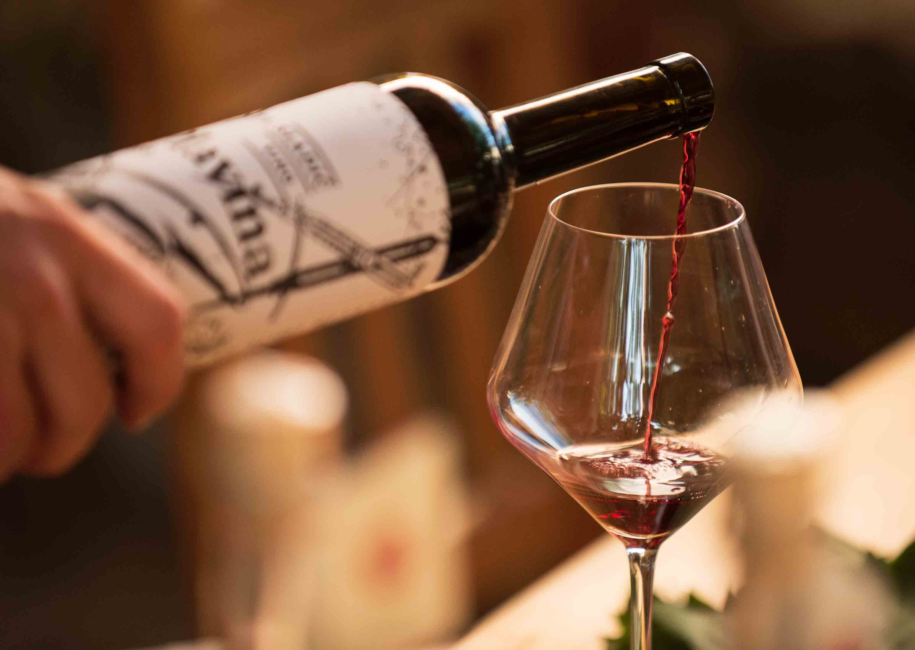 Wein- & Olivenölverkostung in den Weinbergen von Šibenik