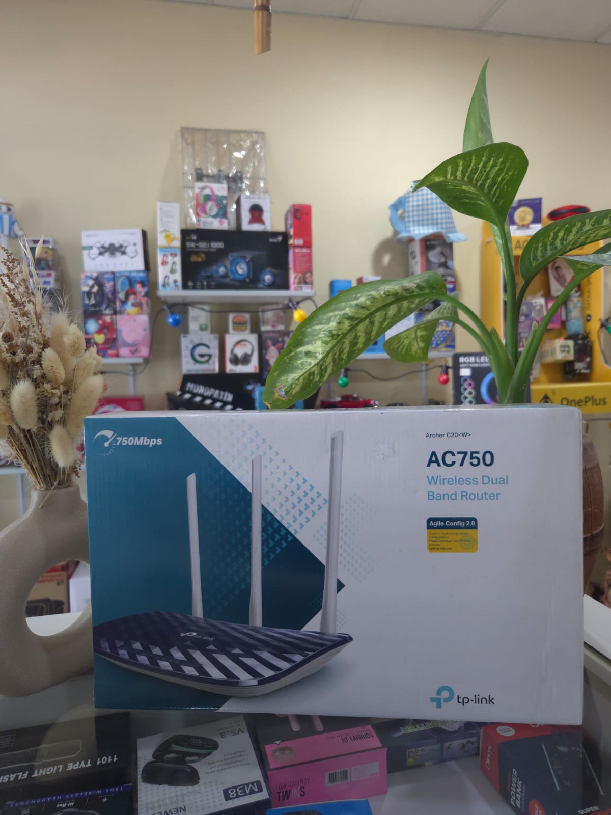 Router Inalámbrico Banda Dual AC750 1
