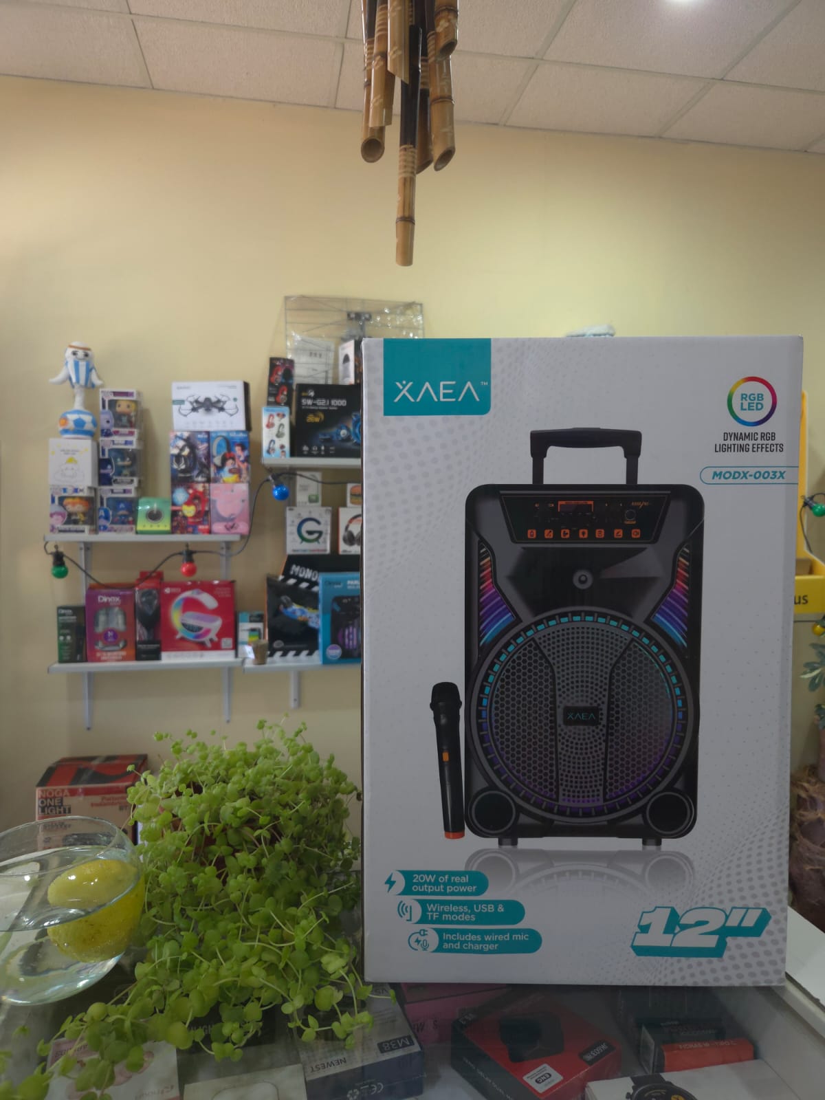 PARLANTE 12” XAEA 1