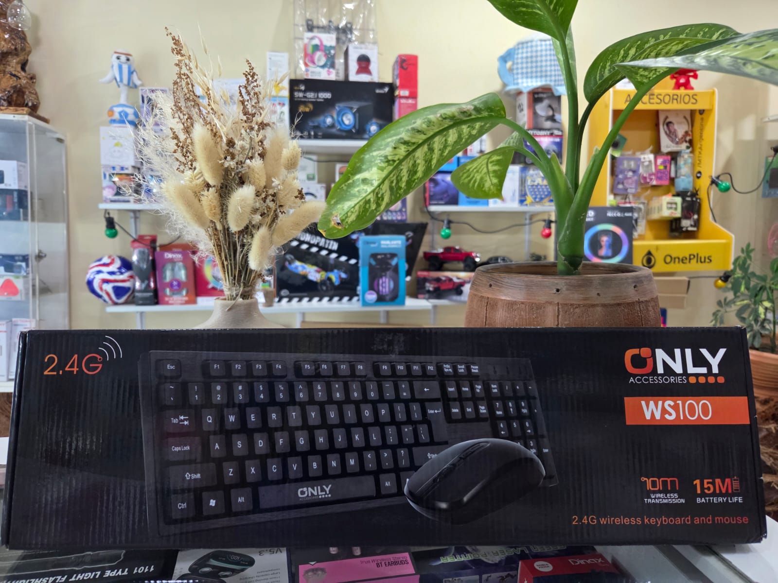 COMBO MOUSE+TECLADO MOD WS100 – WIRELESS 1