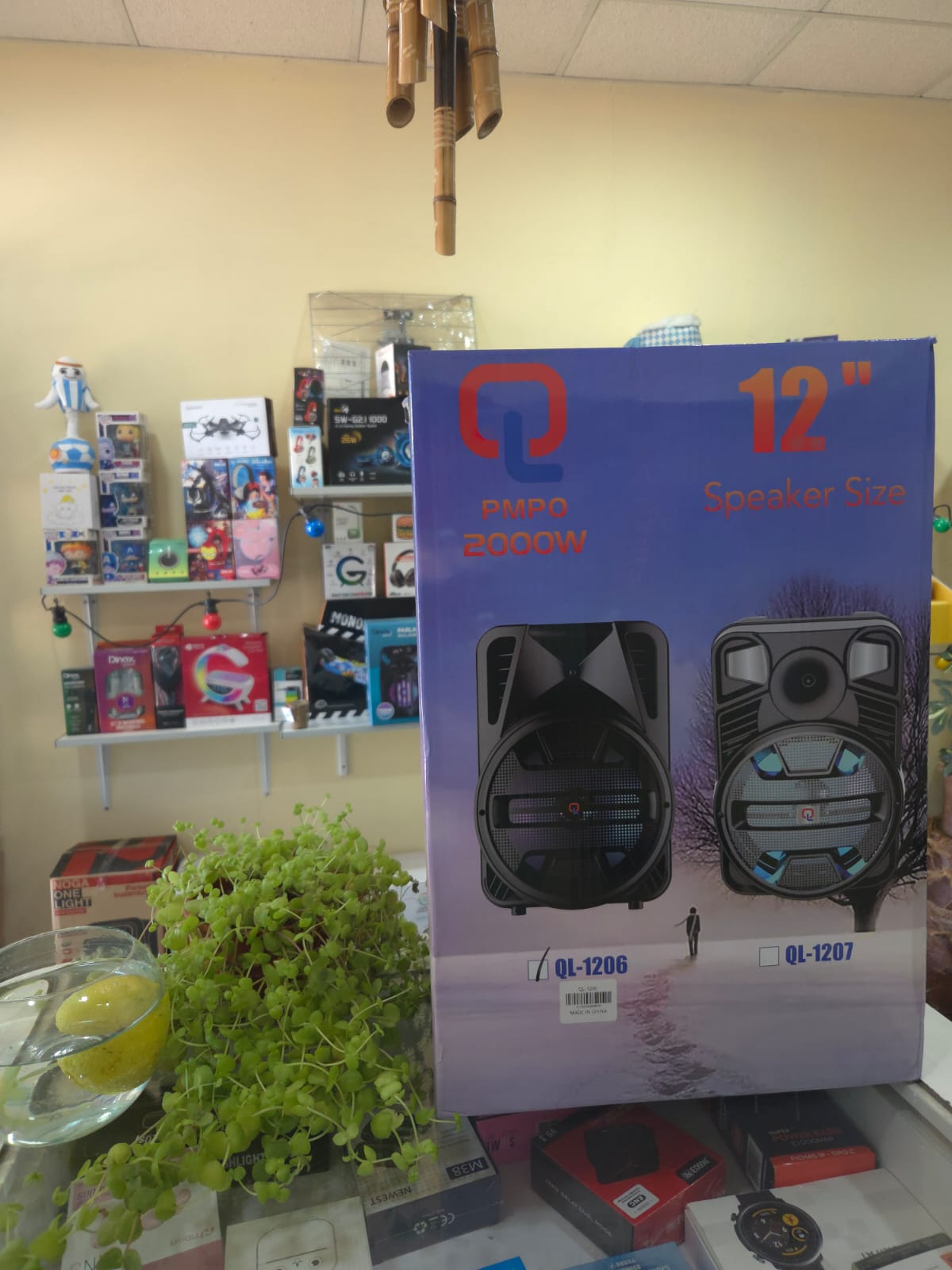 Parlante Q Pmpo 2000W Ql-1206 12" 1