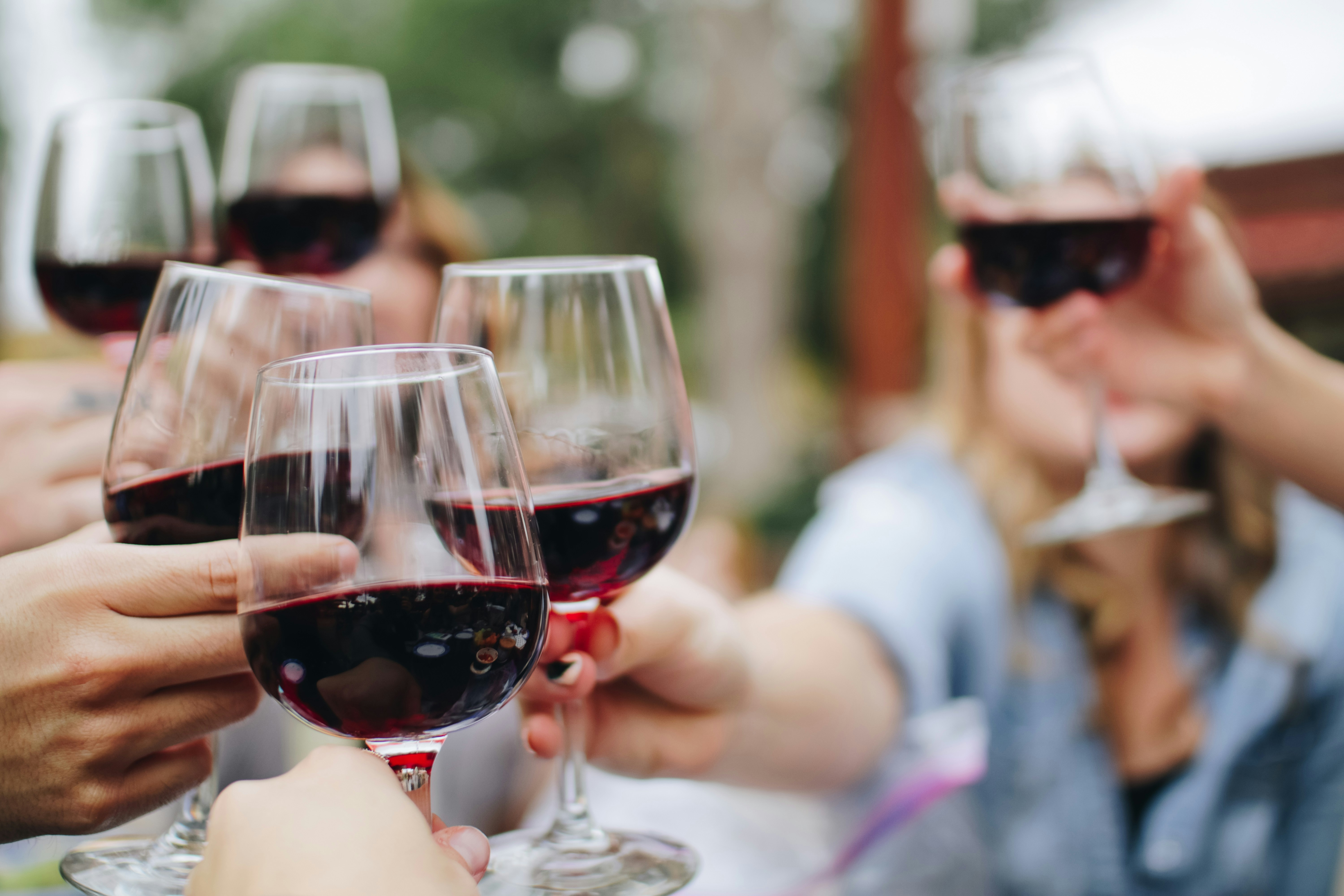 Kaštela Zinfandel Wine Tasting & Culinary Pairing