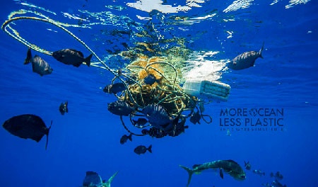 5 Gyres