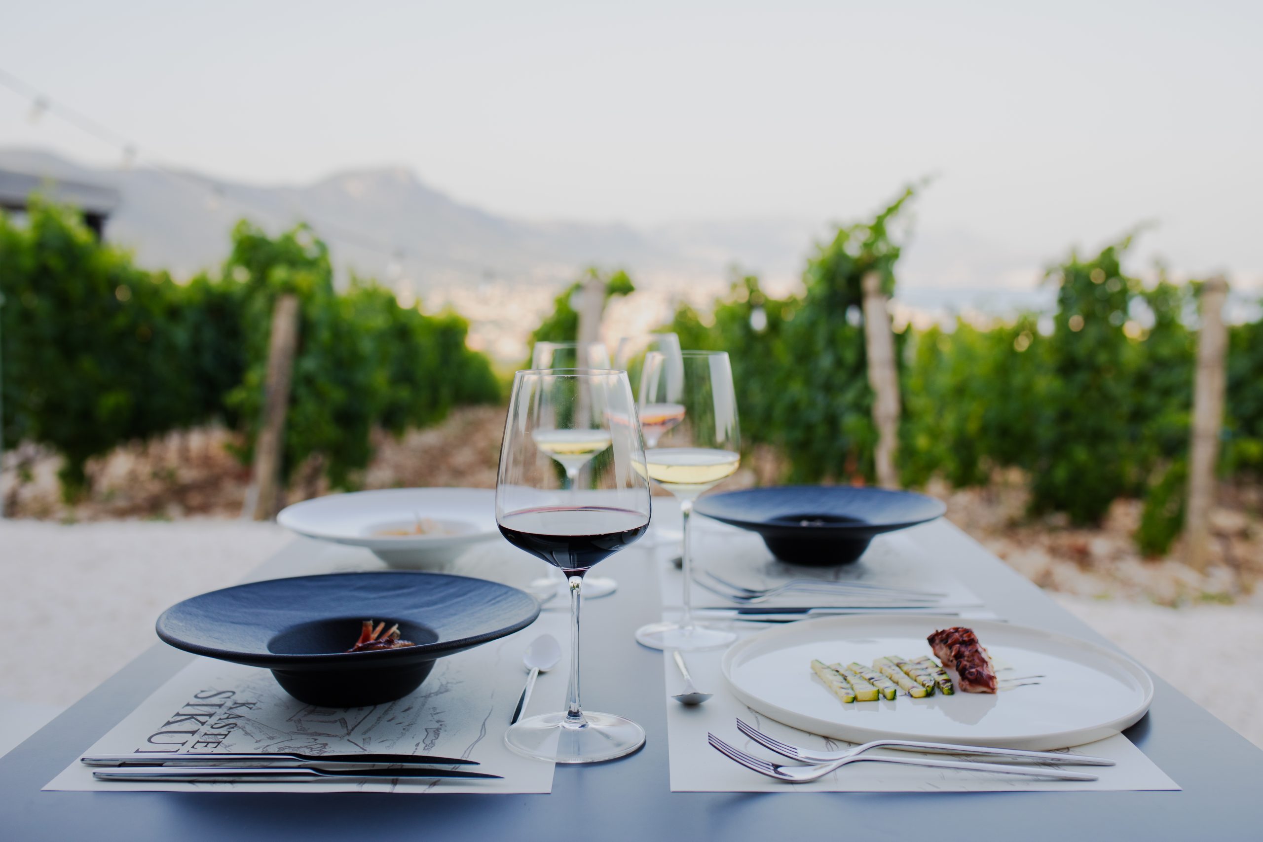 Kaštela Vineyard Wine Tasting & Gourmet Experience
