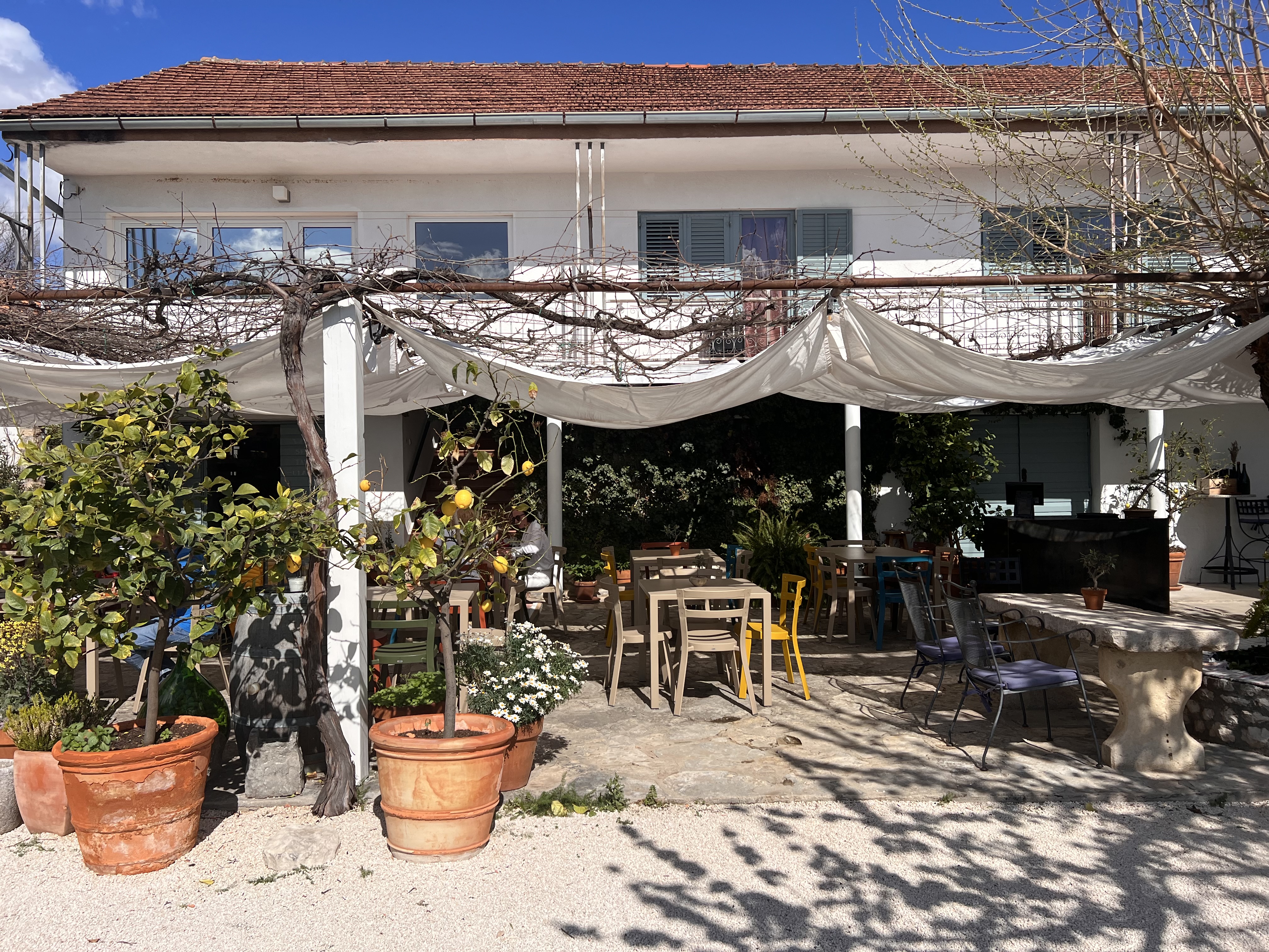 Winetasting & Gourmet Experience in the Vineyards of Šibenik