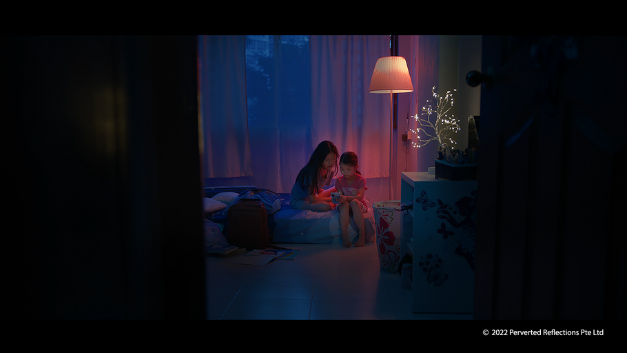 ©2022 Perverted Reflections Pte Ltd