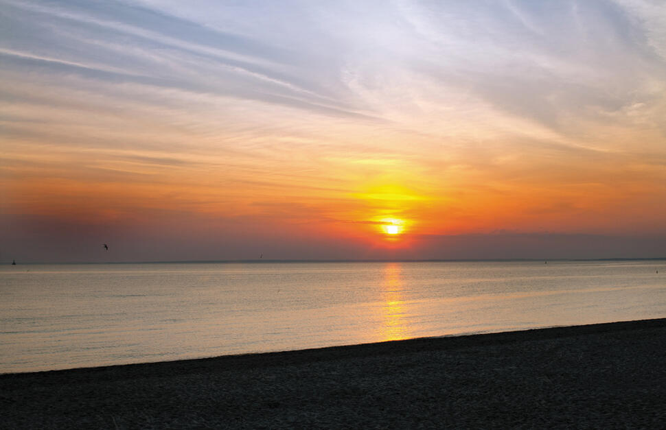 Sea-Crest-Beach-Hotel-5.jpg
