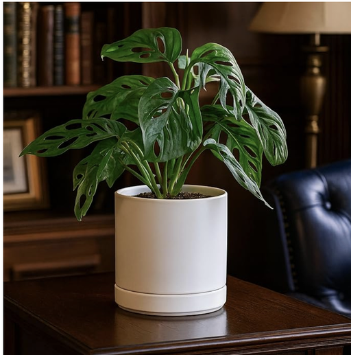 Minimalist Ceramic Planter Pots | Japandi Home Decor — photo 1