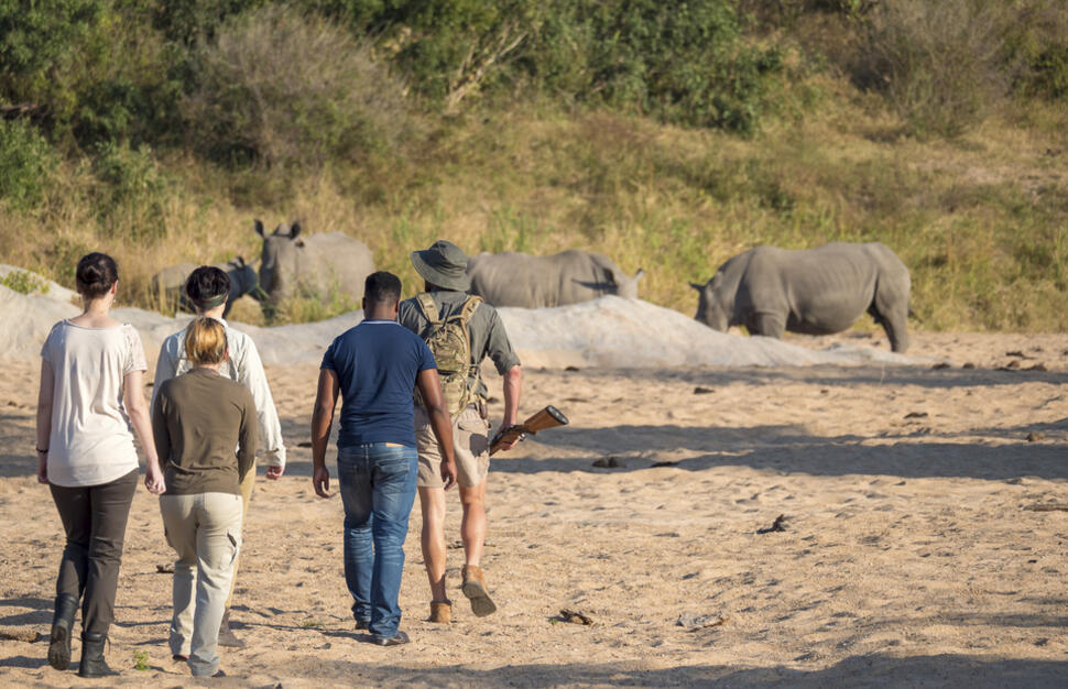 Jock-Safari-Lodge-8.jpg