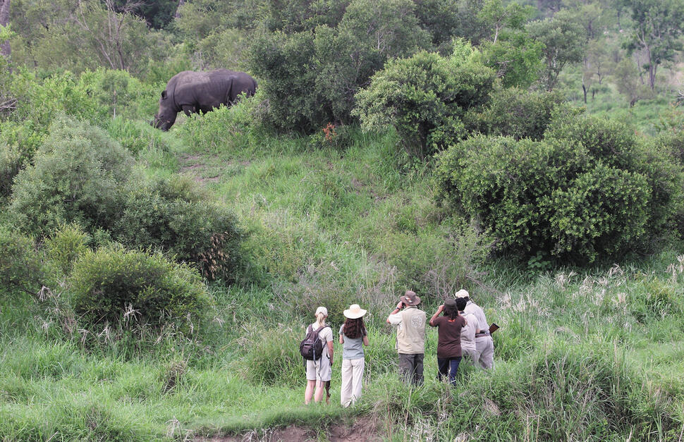 Jock-Safari-Lodge-16.jpg