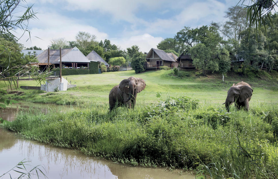Hippo-Hollow-9.jpg