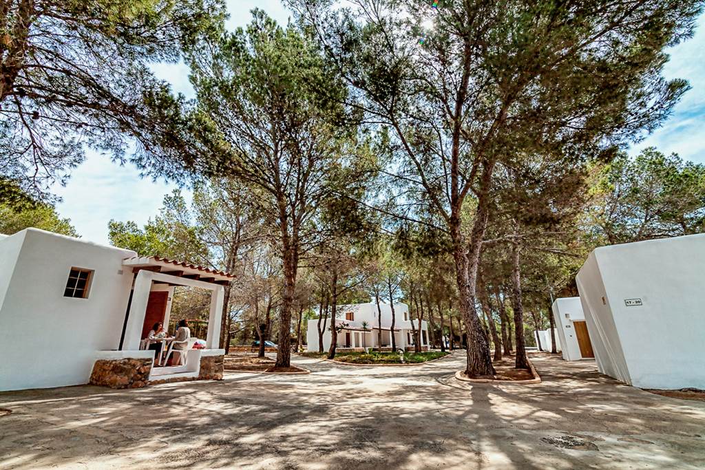 IBZ_86476_Bungalows_Es_Pins_1123_06.jpg