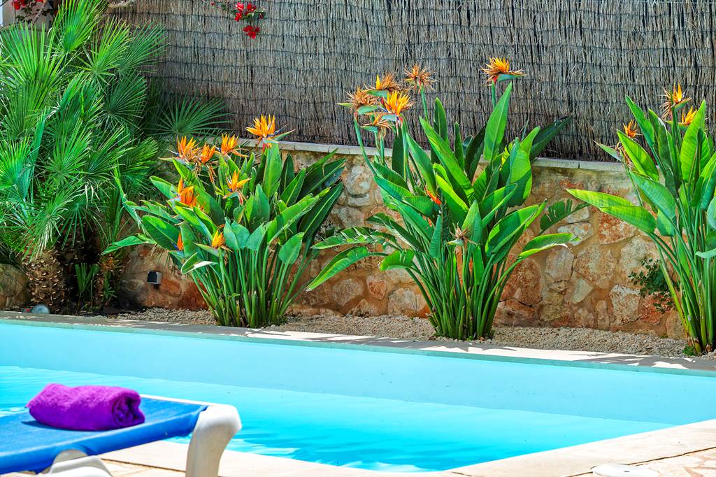 PMI_75484_Villa_Miguel_Angel_0417_04.jpg