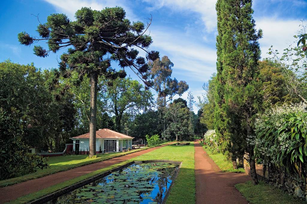 FNC_74850_casa_velha_palheiro_0117_15.jpg