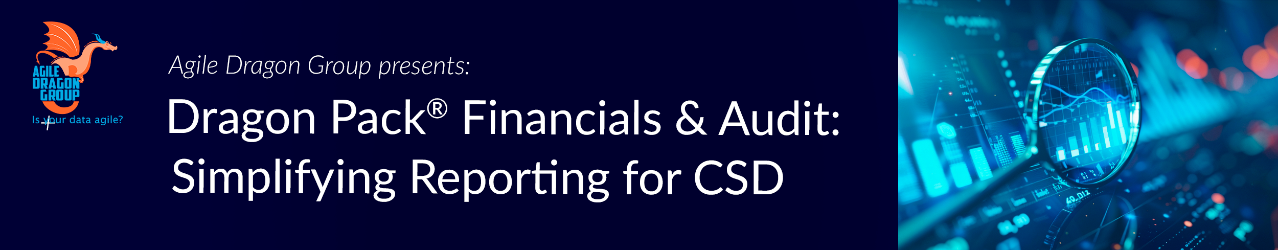 Dragon Pack&reg; Financials & Audit