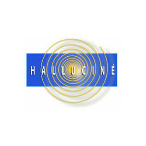 Hallucin Ecran offers hassle-free outdoor movie experience with their high-quality inflatable screens, convenient setup, and professional sound system. Clients can enjoy movies, sports events, or presentations in a unique and memorable way.