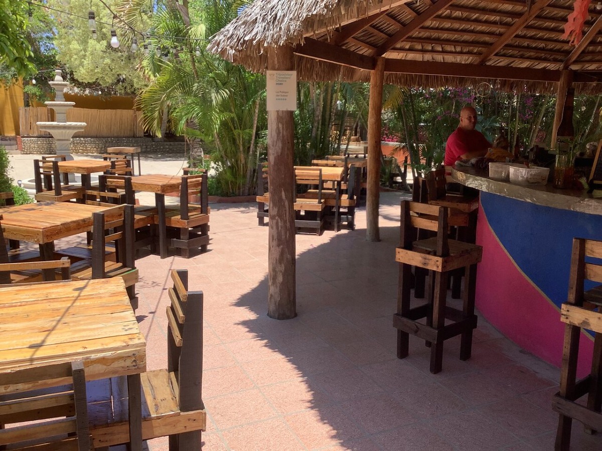 Palapa del Sabor - Todos Santos