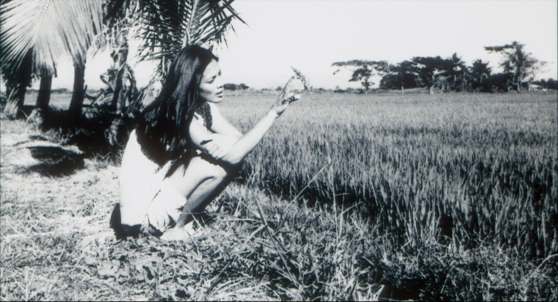 Batang West Side 