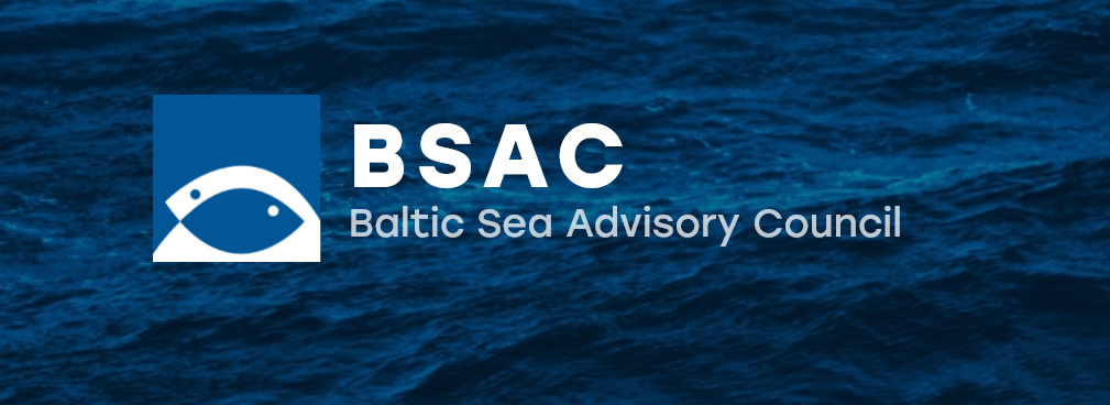 BSAC Demersal Working Group November 2025