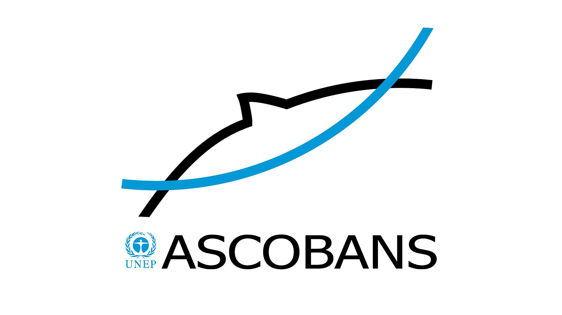 ECS-ASCOBANS Workshop: Saving the critically endangered Baltic harbour porpoise - looking for novel conservation and profile-raising approaches