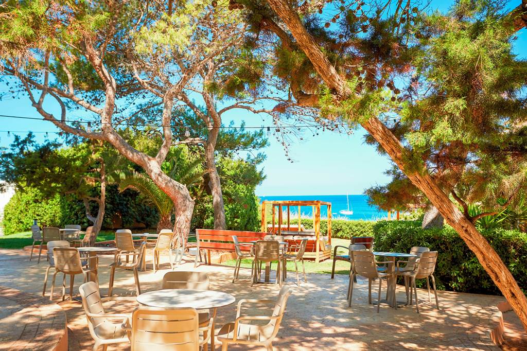 IBZ_82772_Insotel_Club_Tarida_Playa_0221_18.jpg