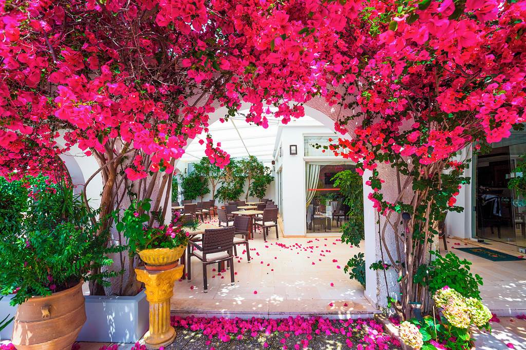 KLX_82542_Kyparissia_Beach_Hotel_1120_10.jpg