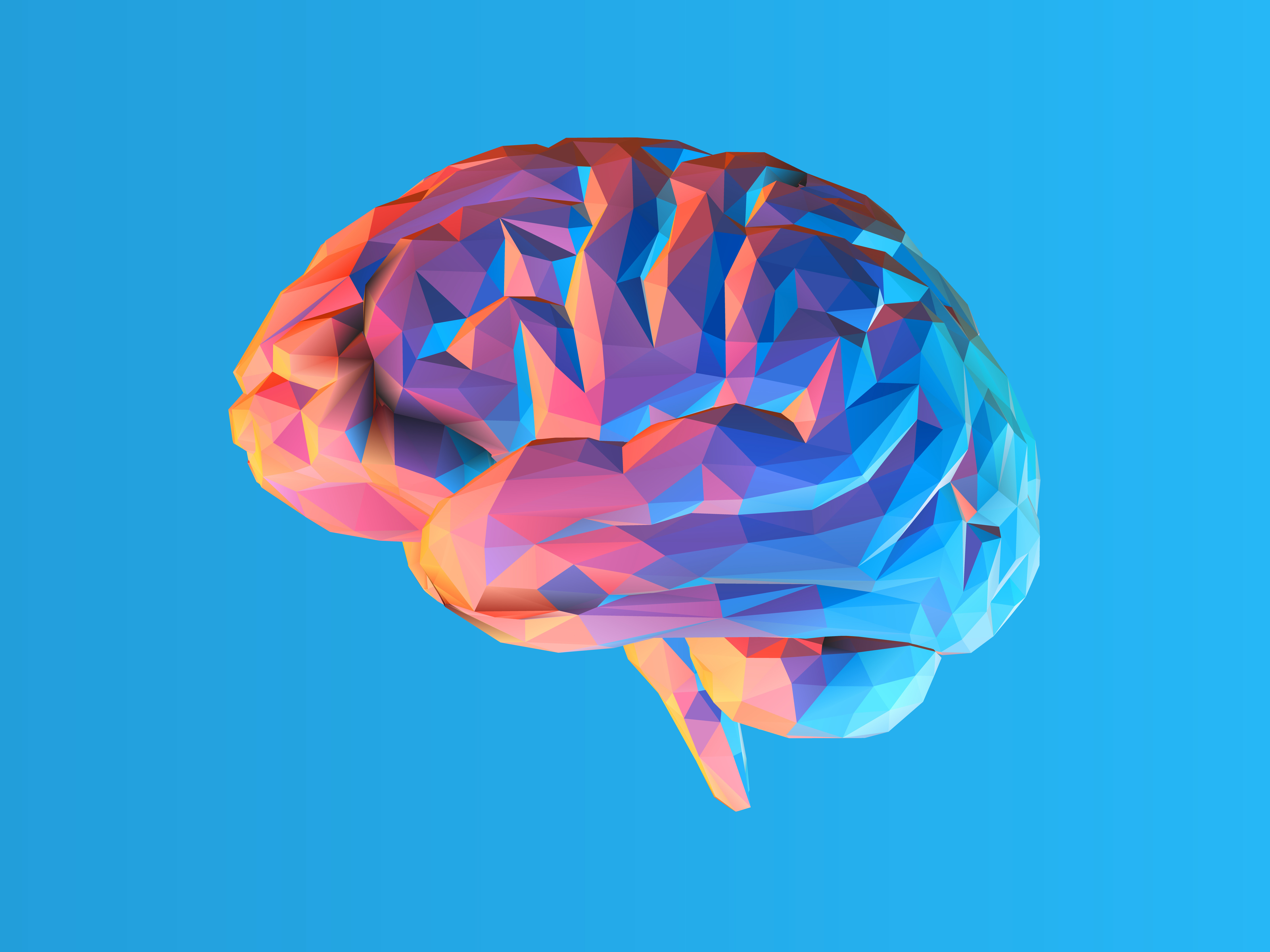 Brain image