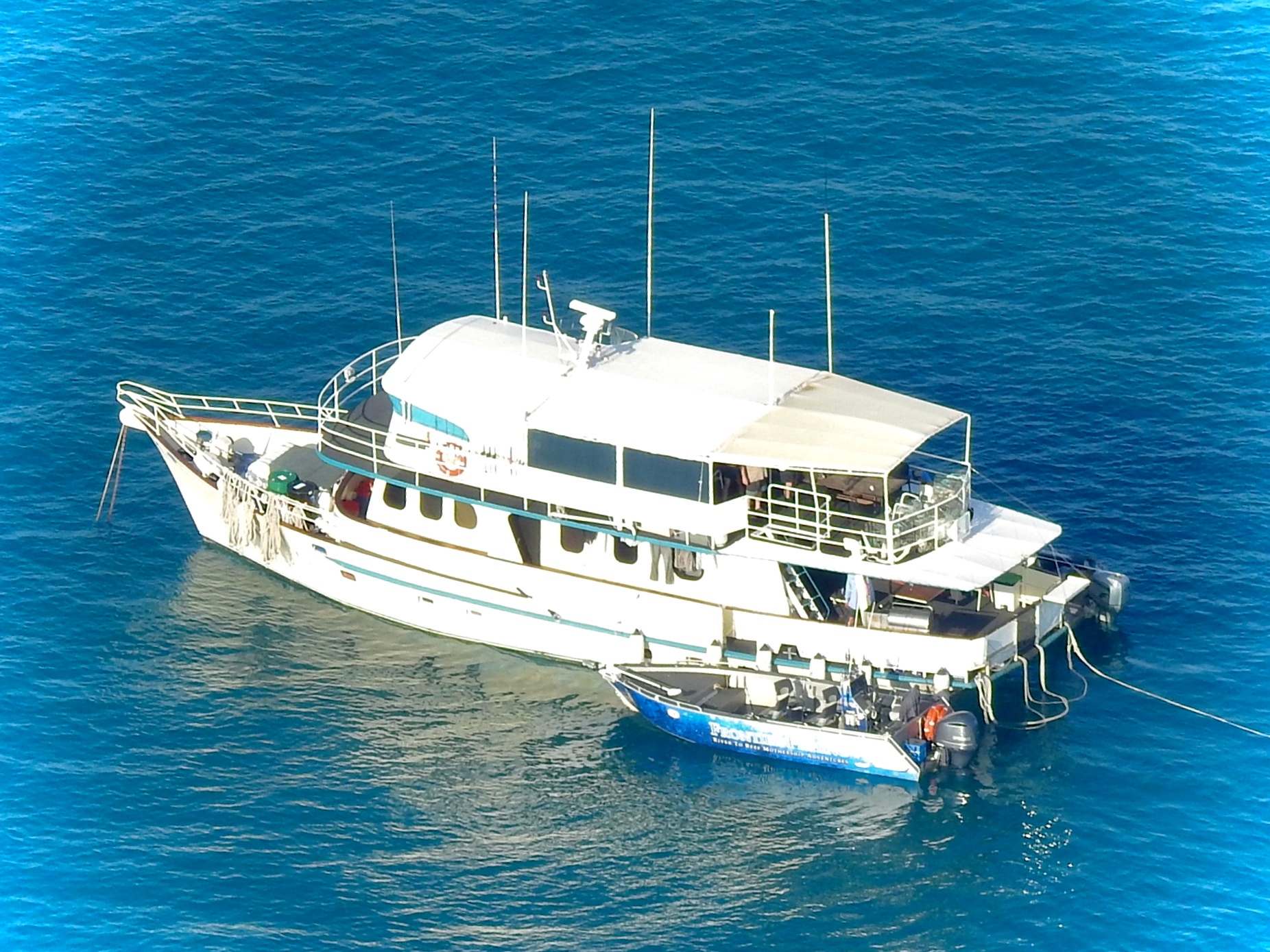 Frontier Fishing