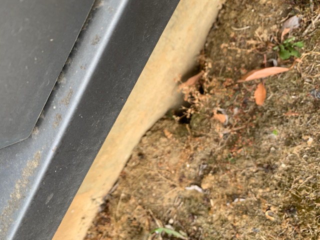 Combattre l'infection de rats et cafards à Bondoufles