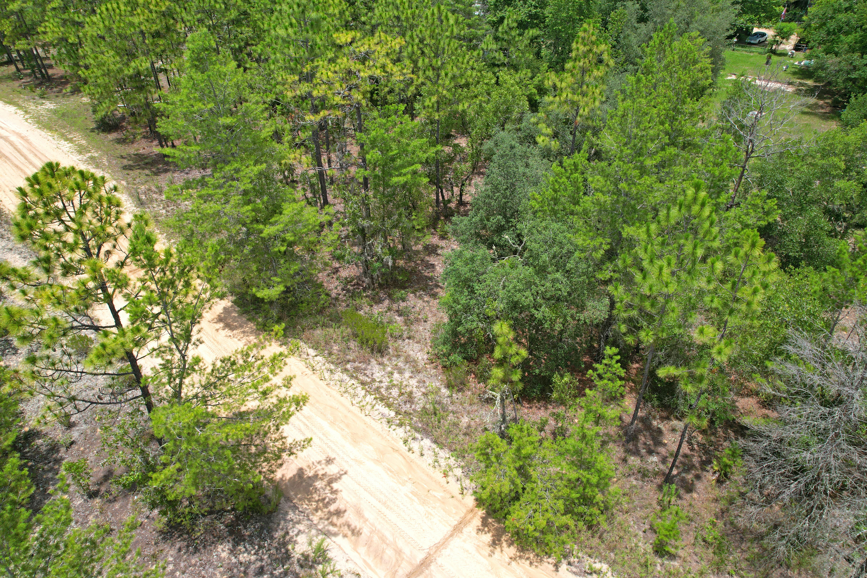 DJI_0664 (1).jpg