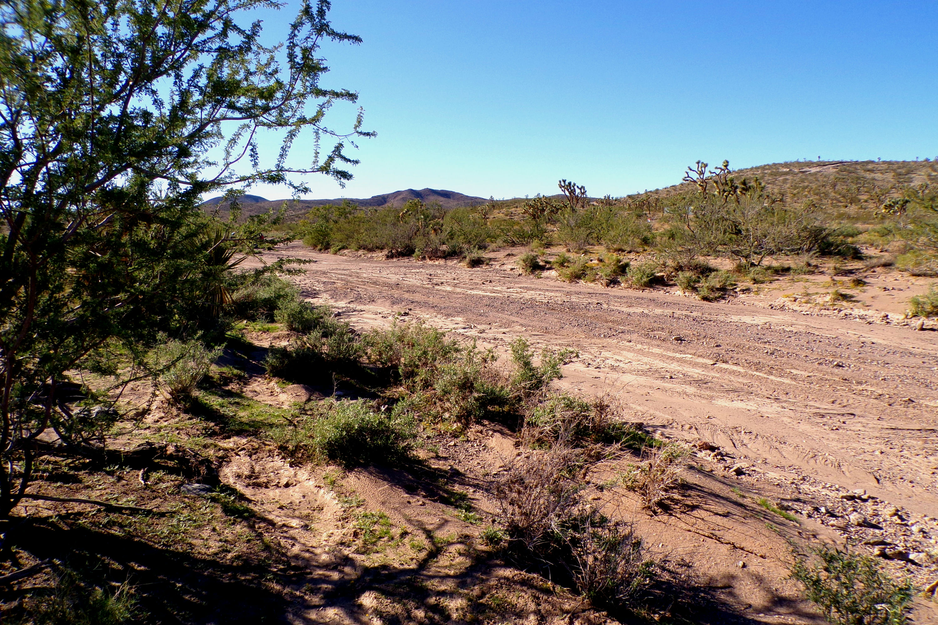 100_2841_DESERT.JPG