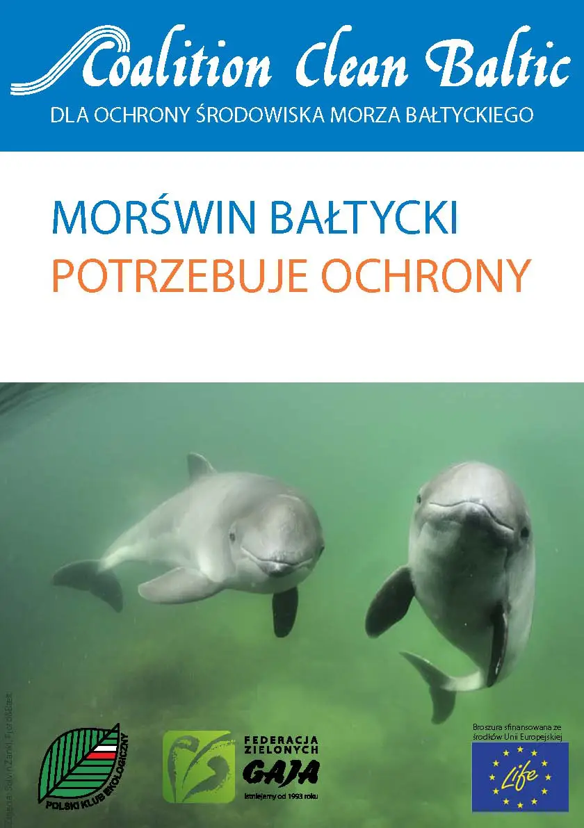 Morświn Bałtycki