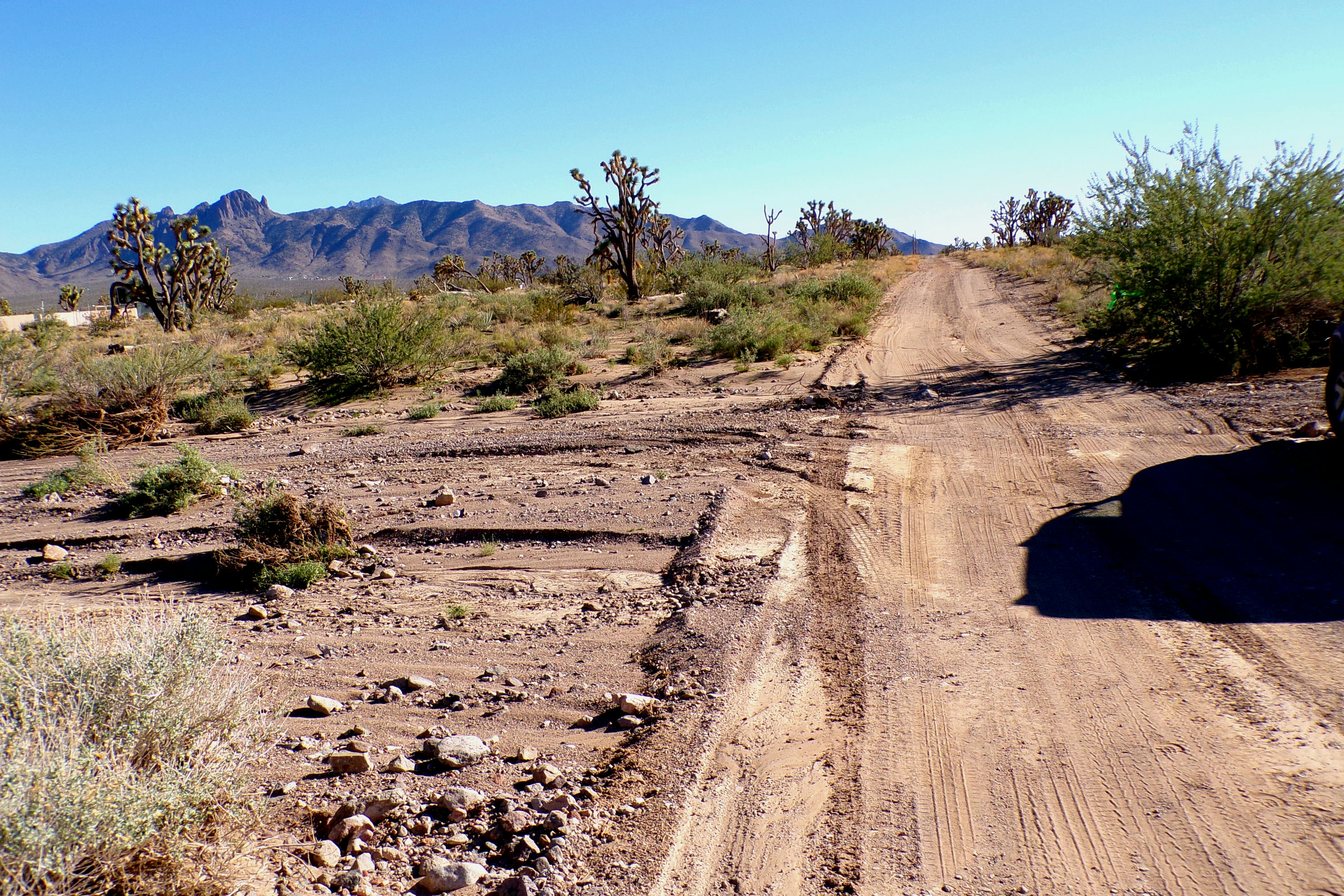 100_2827_DESERT.JPG