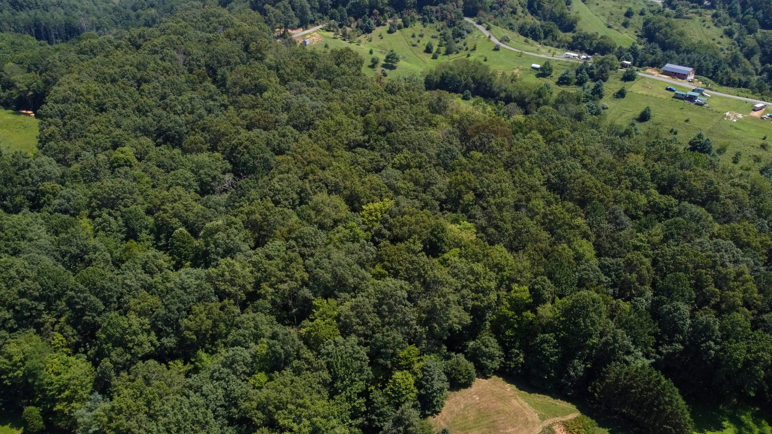 Copy of Grassy-Creek-Lot-10-Drone-11.jpg