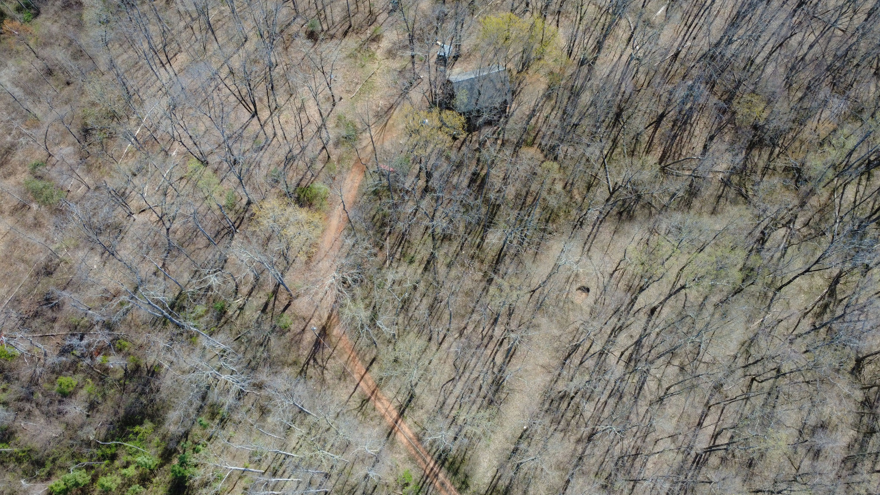 DJI_0190.JPG