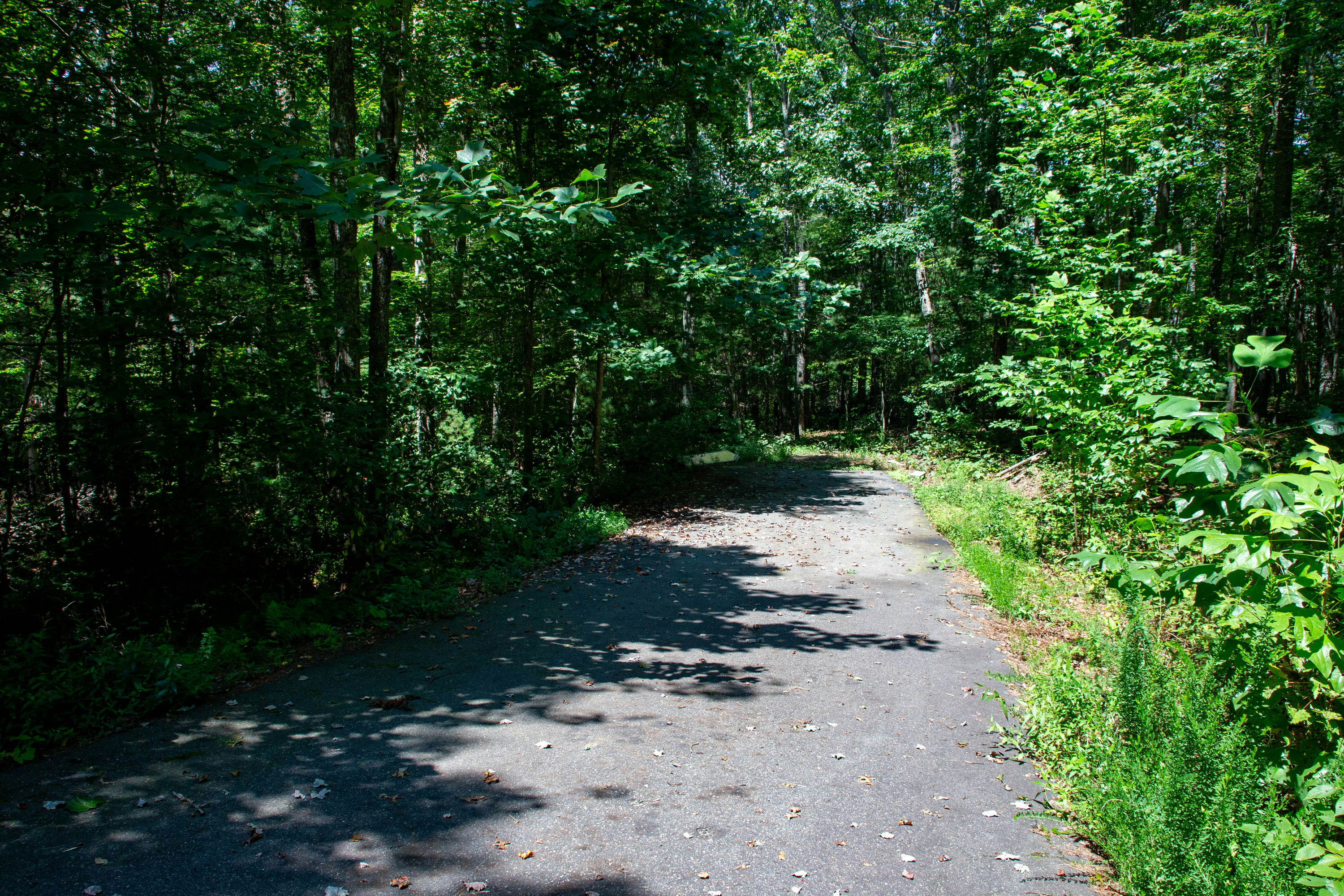 Copy of Grassy-Creek-Lot-10-Ground-17.jpg