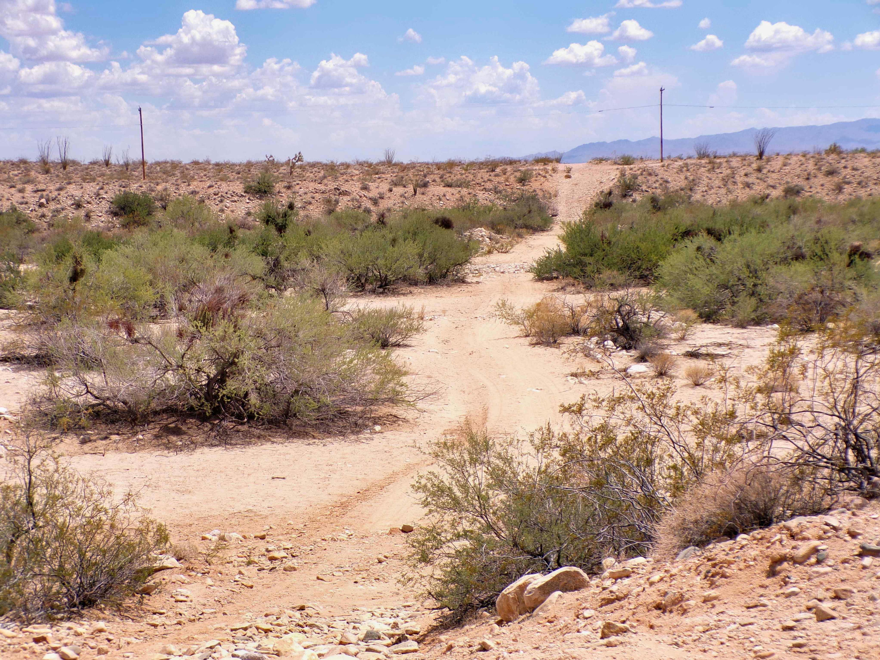 Road across wash.jpg