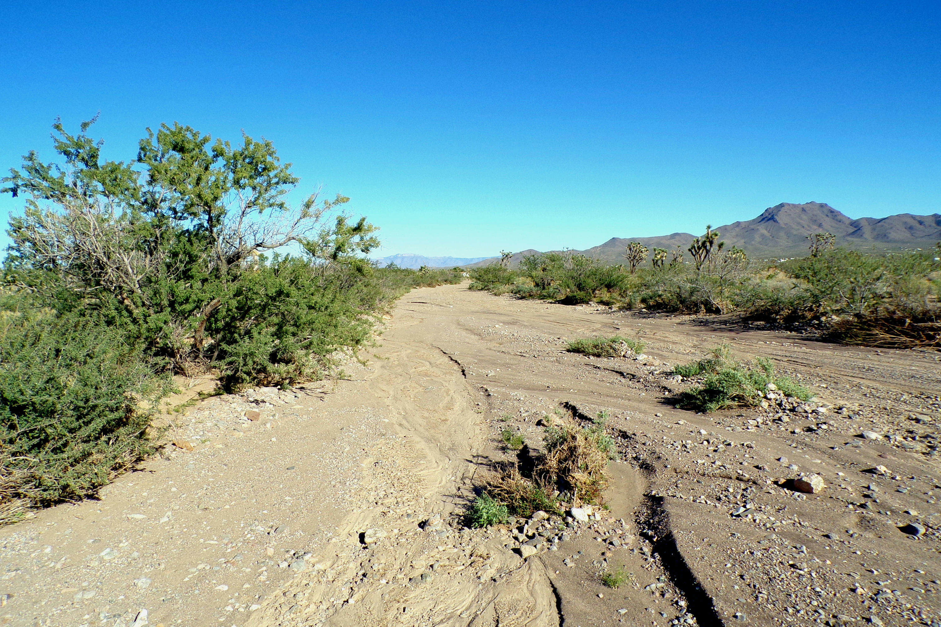 100_2830_DESERT.JPG