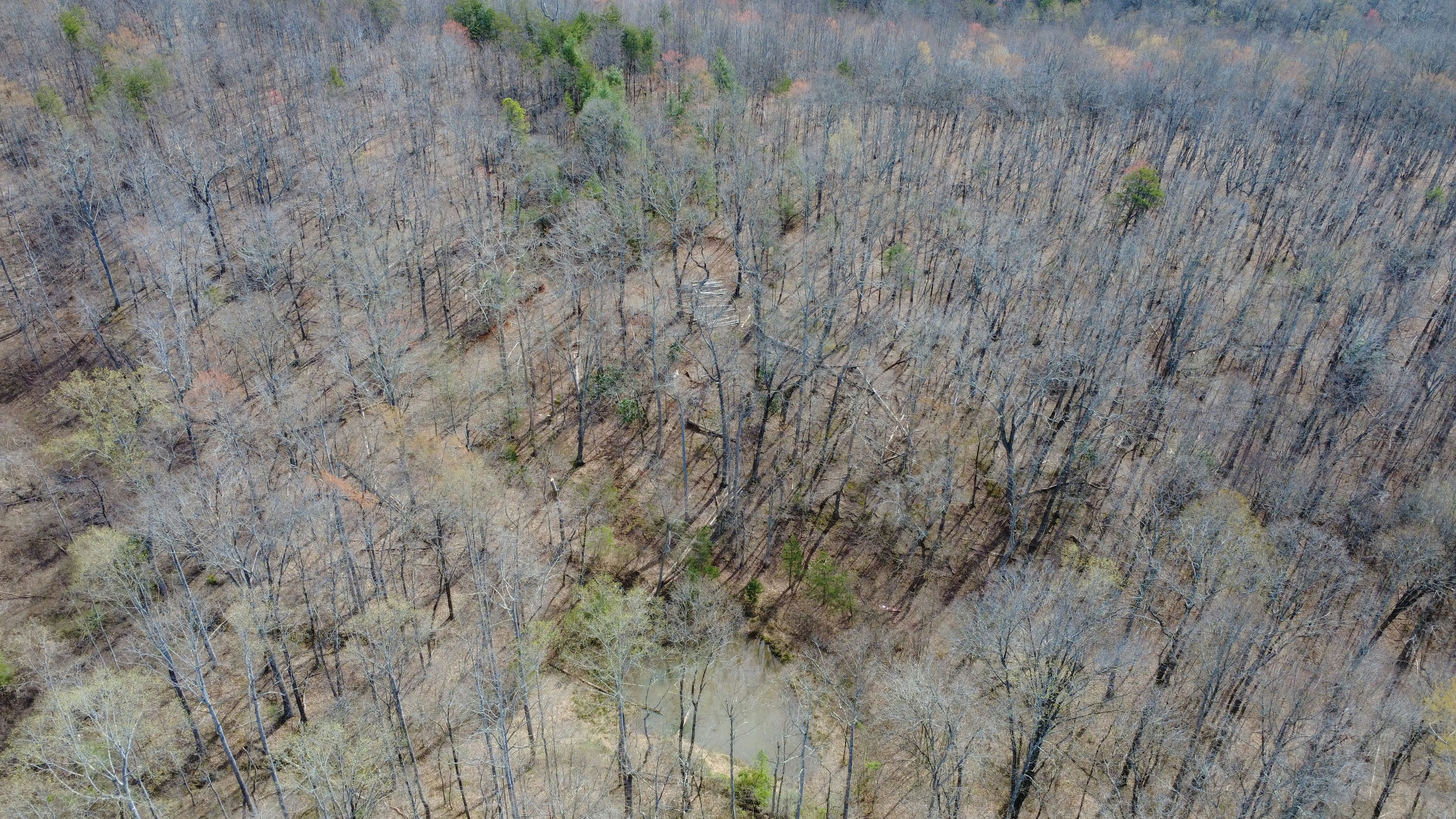 DJI_0183.JPG