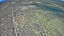 carousel-thumb-16