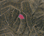 carousel-thumb-8