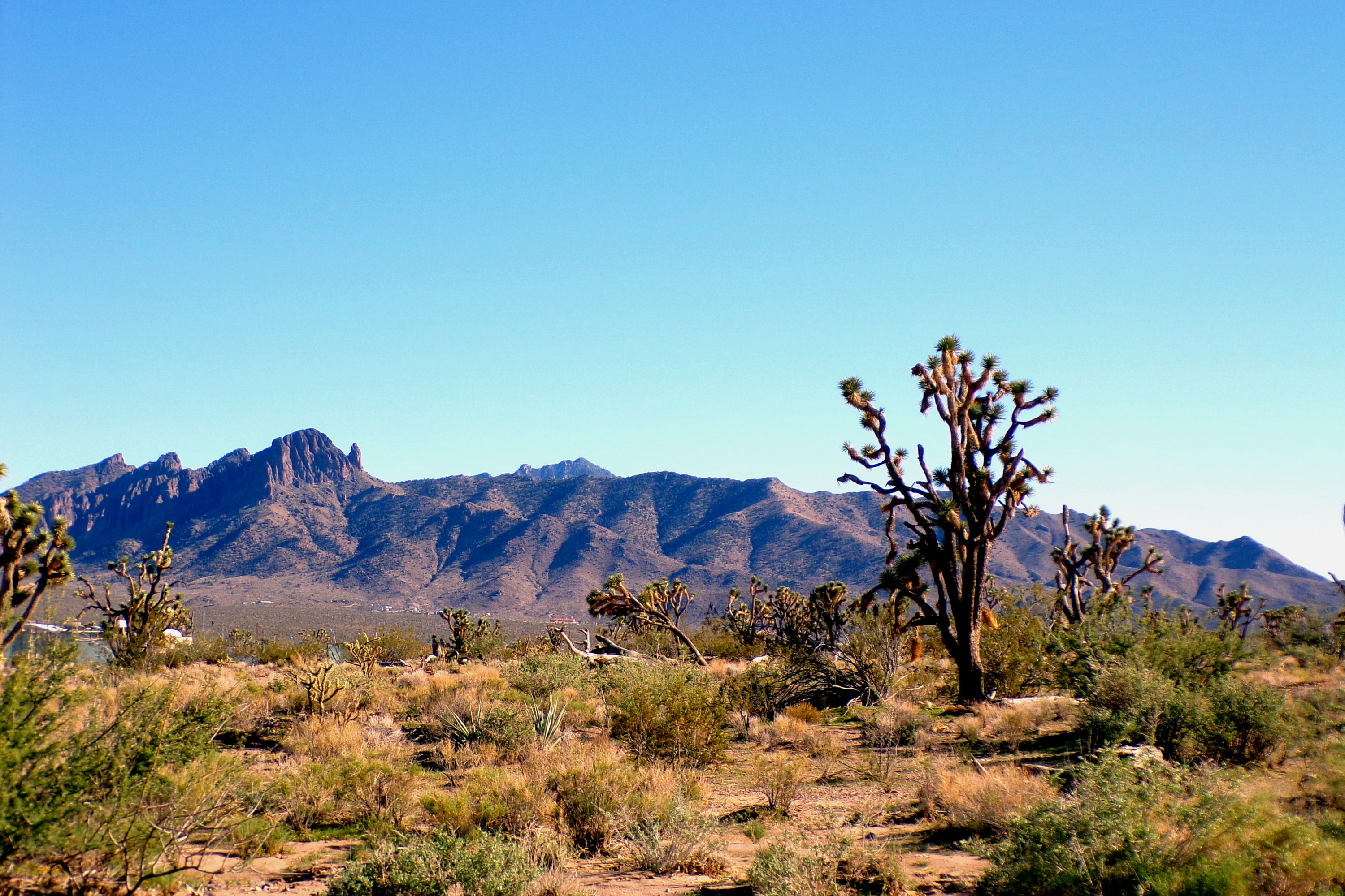100_2831_DESERT.JPG