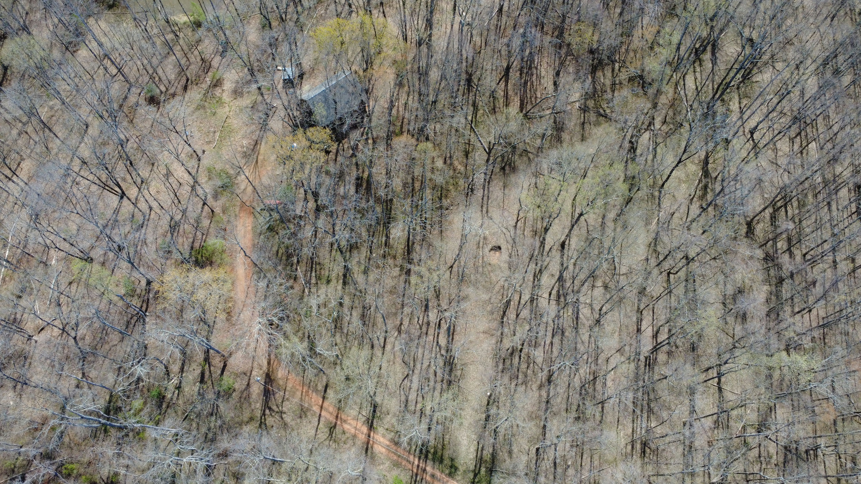 DJI_0189.JPG
