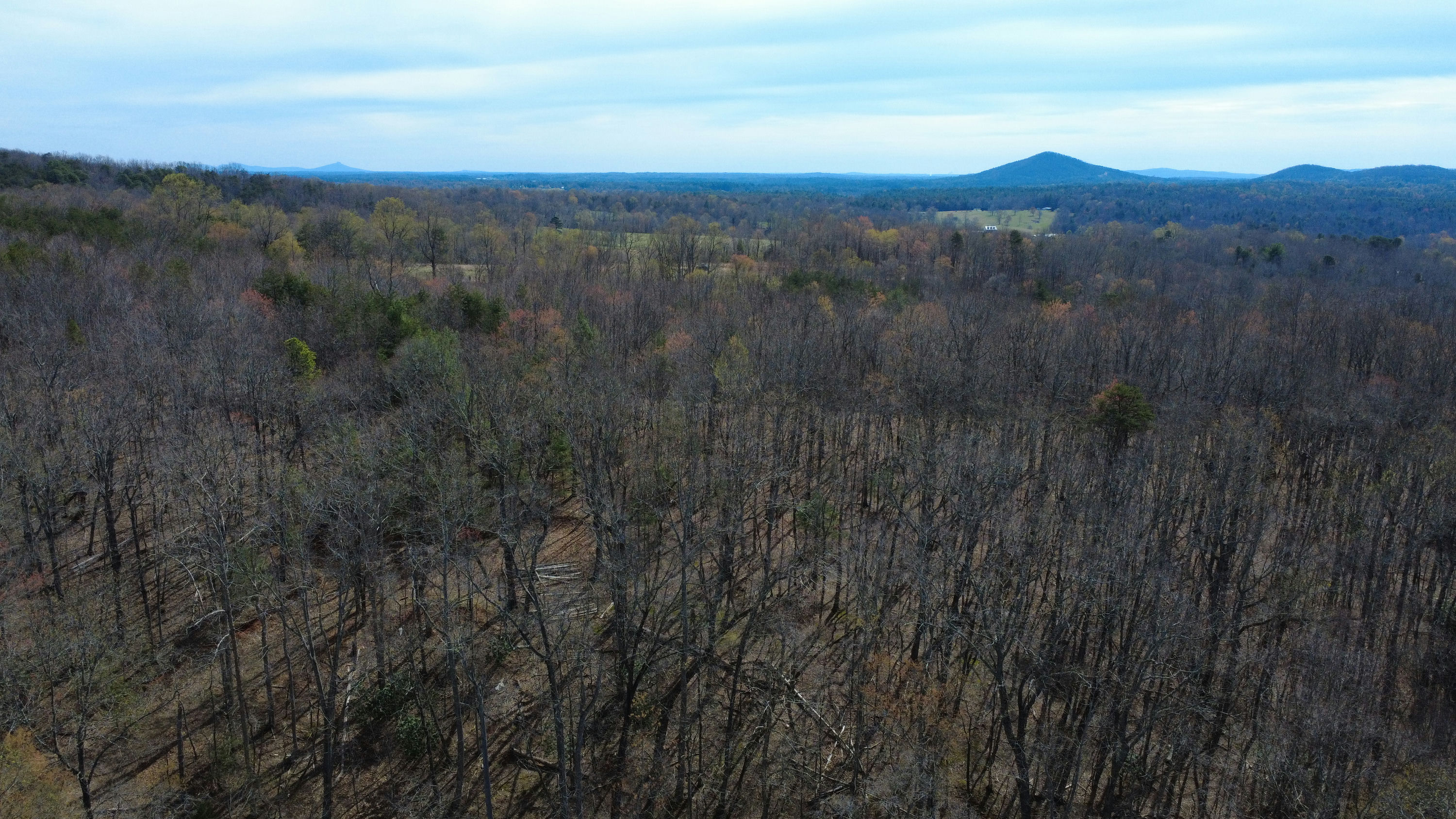 DJI_0158.JPG
