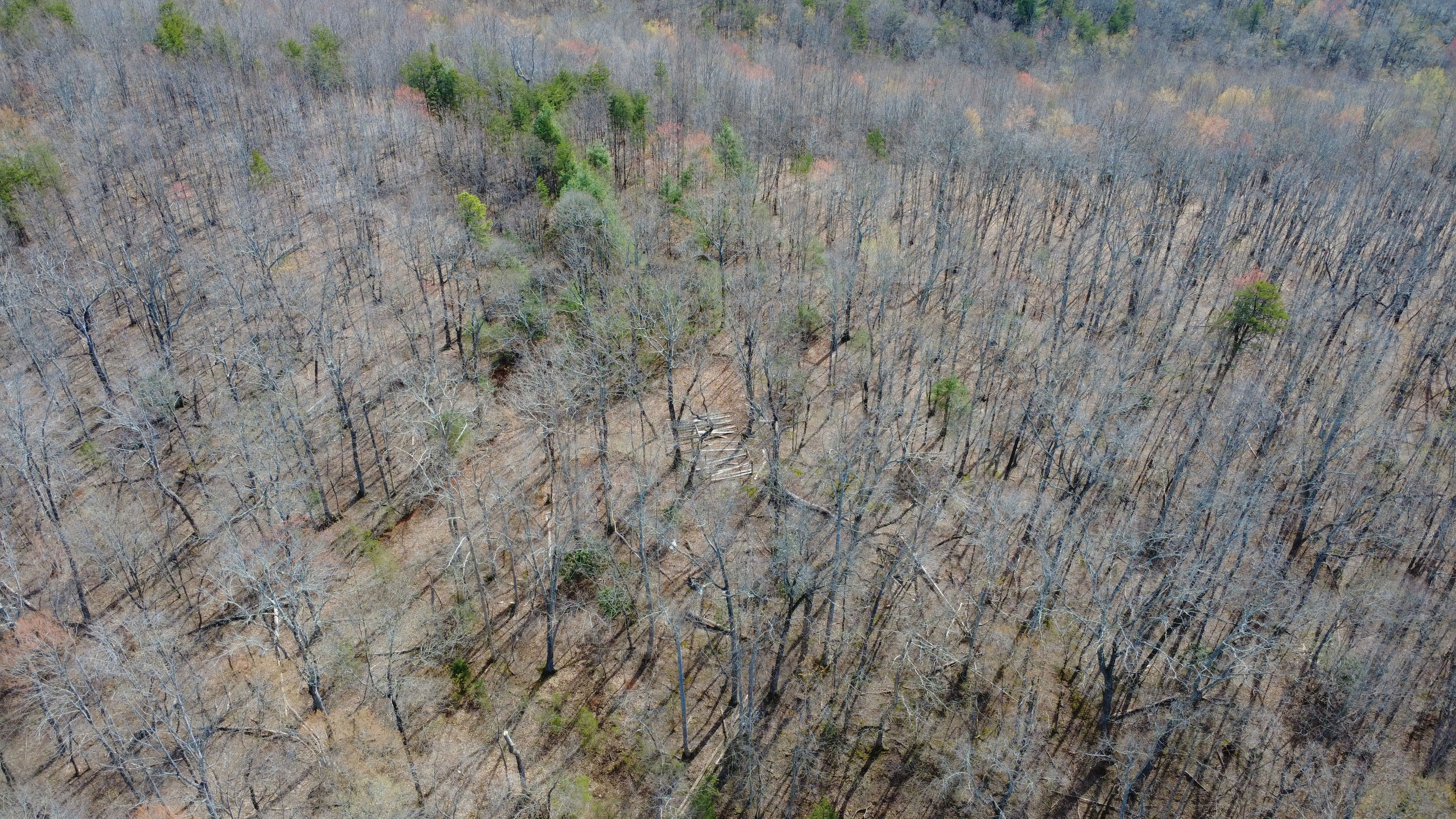 DJI_0182.JPG