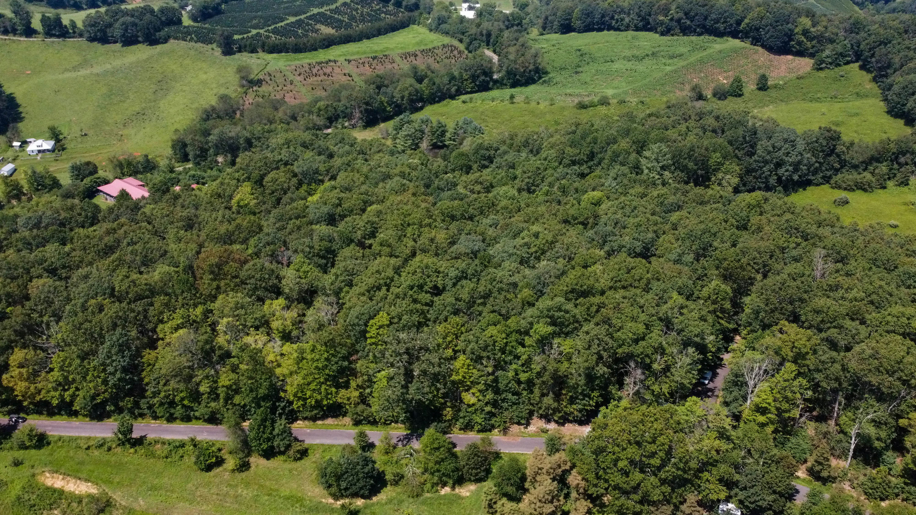 Copy of Grassy-Creek-Lot-10-Drone-15.jpg