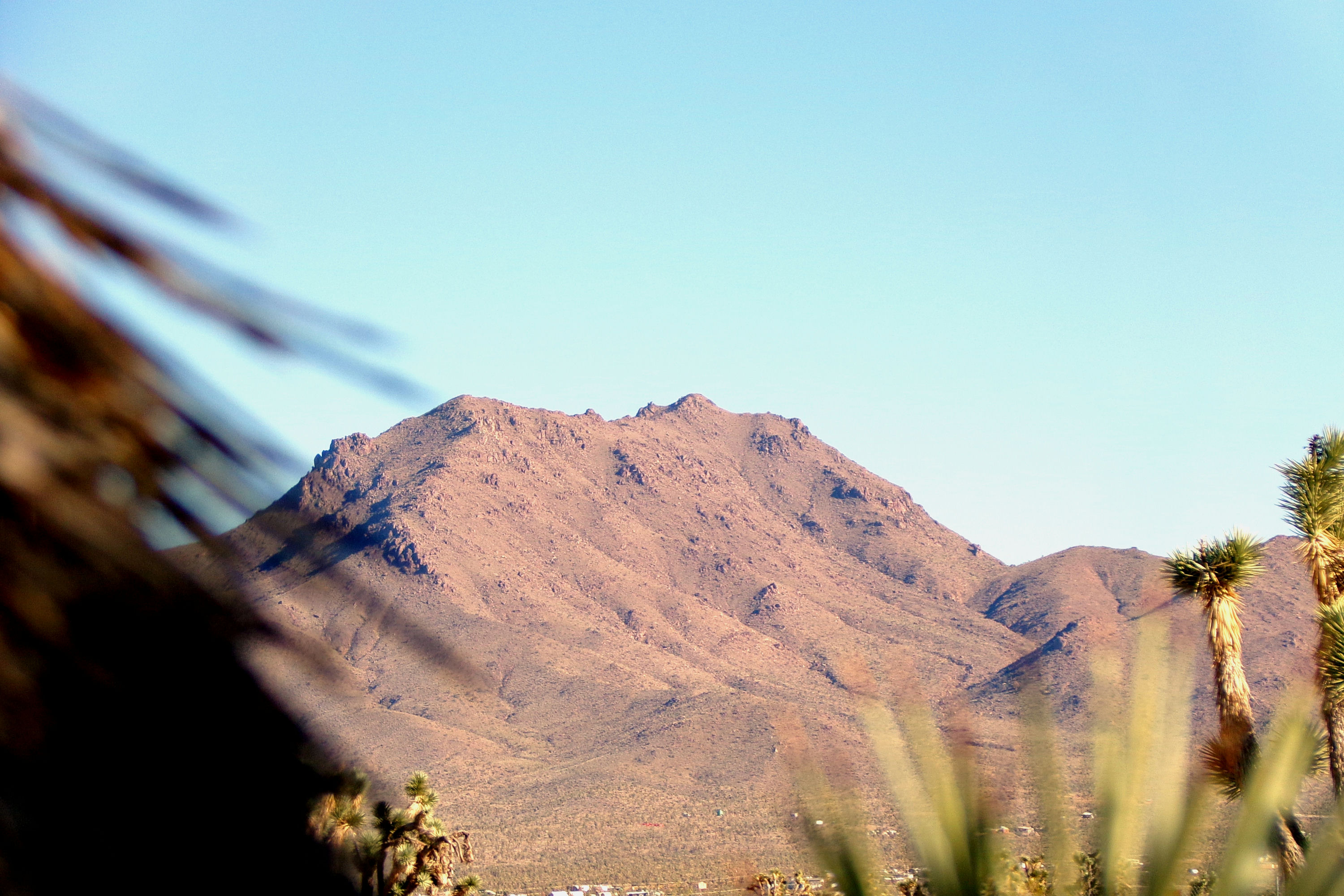 100_2839_DESERT.JPG